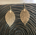 Leaf Drop Earrings in Gold